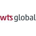 WTS Consulting logo