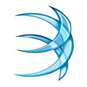 BIM Global Solutions logo