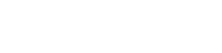 Washington University in St Louis logo