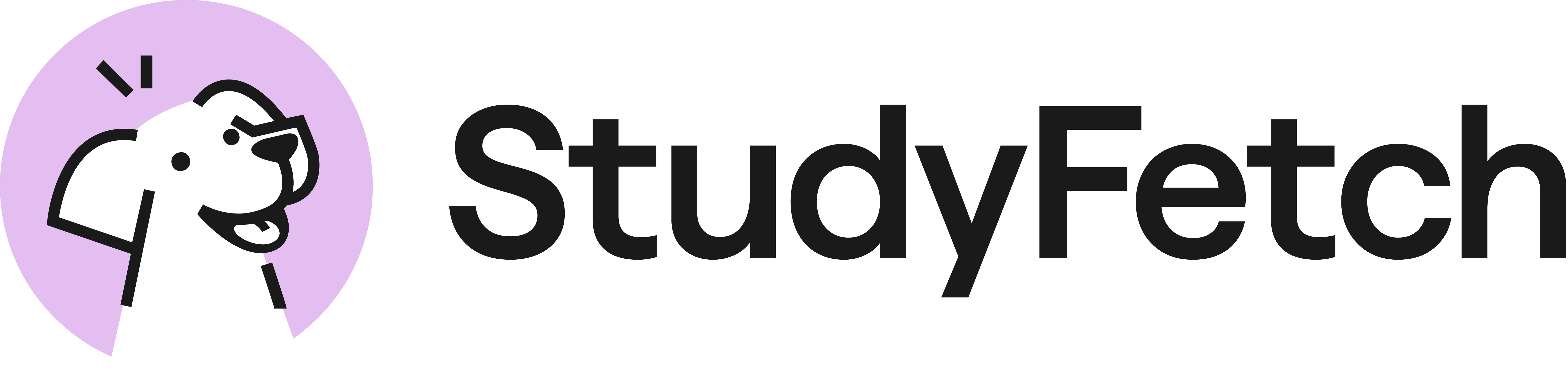 StudyFetch logo