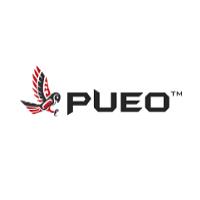 Pueo Business Solutions logo