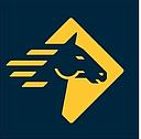 Paladin Airport Security Services logo