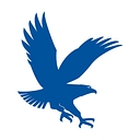 Embry-Riddle logo