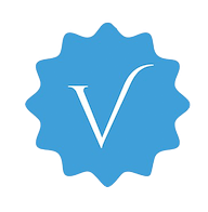 Vanguard Pro Realty logo