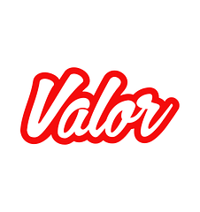 Valor Software logo