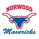 Norwood Public Schools logo