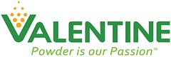 Valentine Enterprises logo