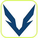 Valiant Enterprises logo