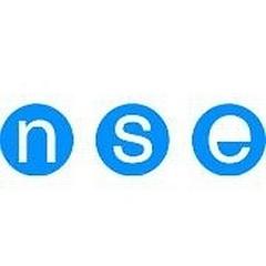 NSE Groupe logo