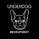 Underdog Recruitment Limited logo