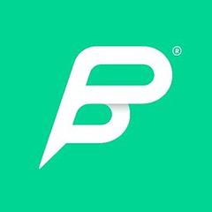 Peter Park System GmbH logo