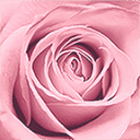 La Vie En Rose logo