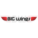 BIG WINGS LLC logo