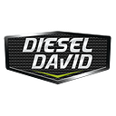 Diesel David Inc. logo