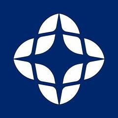 Eridanis logo