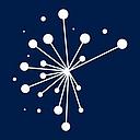 Nearshore Portugal logo