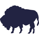 Buffalo Framing & Truss LLC logo