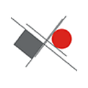 Diverse Lynx LLC logo