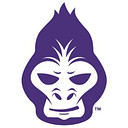Paragon 28, Inc. logo