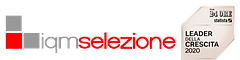 IQM selezione logo