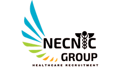 Necnic Group logo