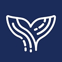 Orca-AI logo