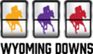Wyoming Downs logo