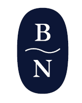 Blue Nile logo