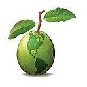 Linguava Interpreters logo