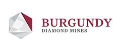 Burgundy Diamond logo