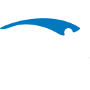 HSI logo