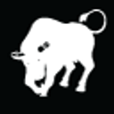 Toro Capital Group of Companies logo