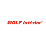 Wolf Interim logo