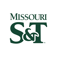 S&T Information Technology logo