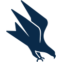 FlyteVu logo