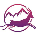 Double Leap LLC logo