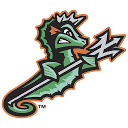 NORFOLK TIDES logo