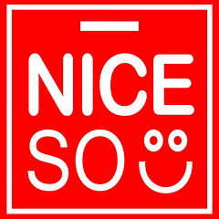 NICE SO logo