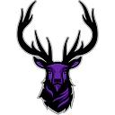 Elkins School District logo