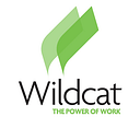 Wildcat Trucking LLC logo