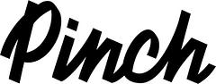 Pinch Med Spa logo