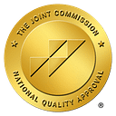 Netpace Inc logo