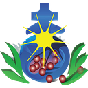ST JOHN OF GOD COMMUNITY SERVICES logo