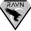 RAVN Group logo