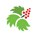 SouthEast Alaska Regional Health Consortium logo