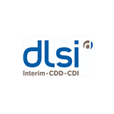 DLSI France logo
