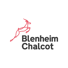Blenheim Chalcot logo