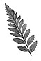 January Search logo