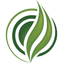 Verdes Cannabis logo