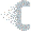 Celerity Fiber logo